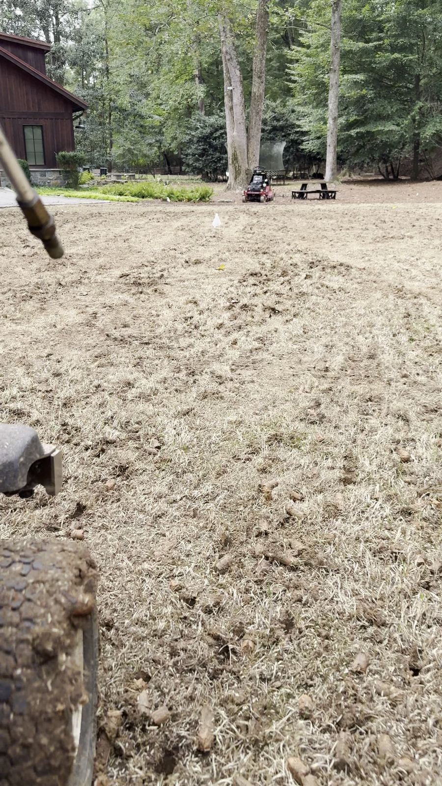 Soil cores left behind a core aerator on a lawn