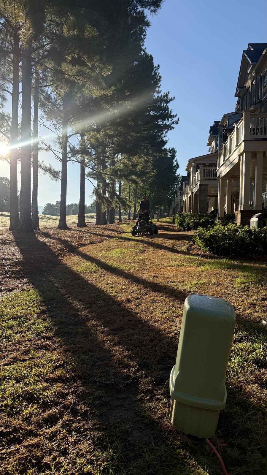 Lawn in morning sun after core aeration
