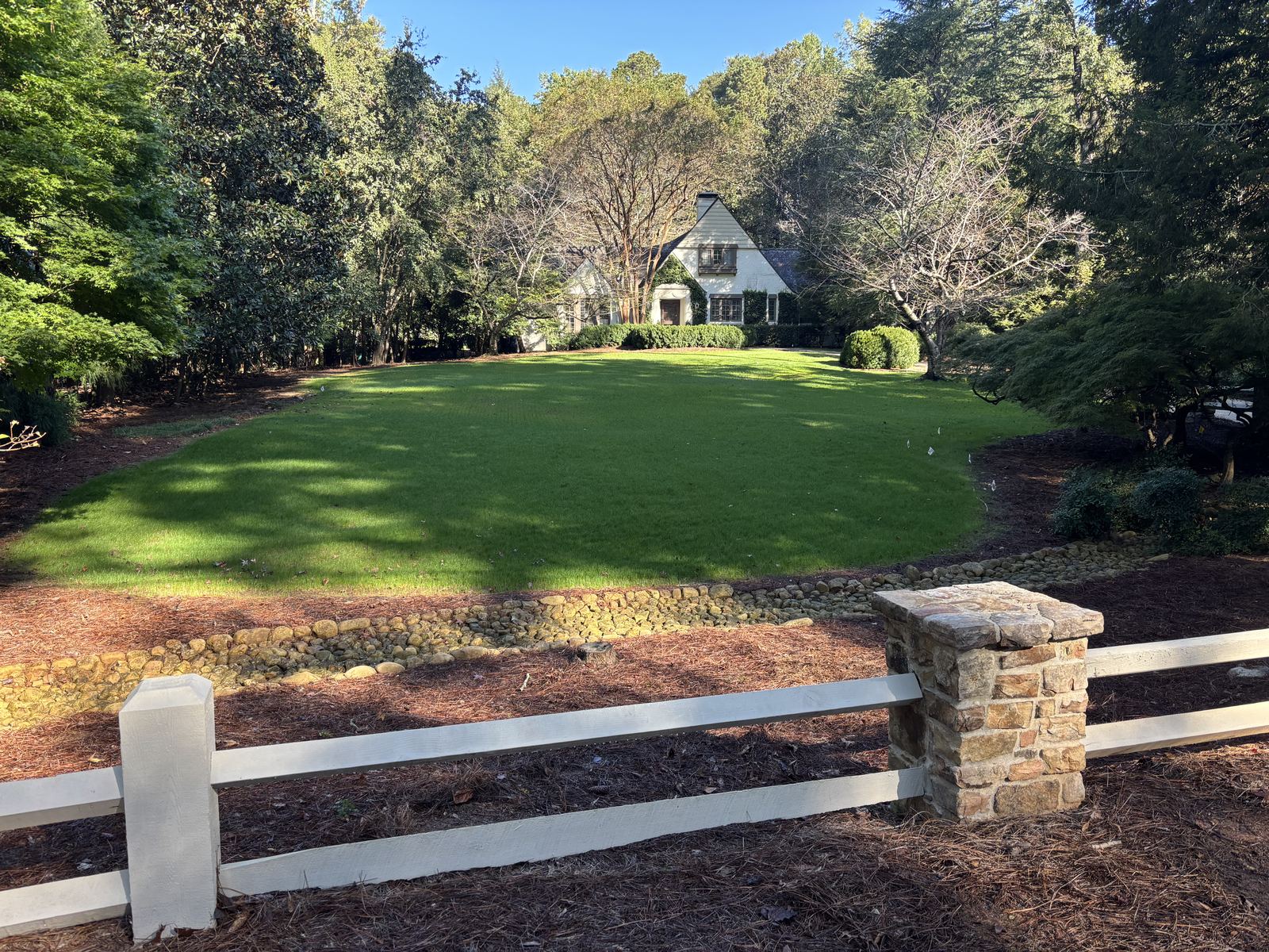 After: the same lawn green with new fescue two weeks later