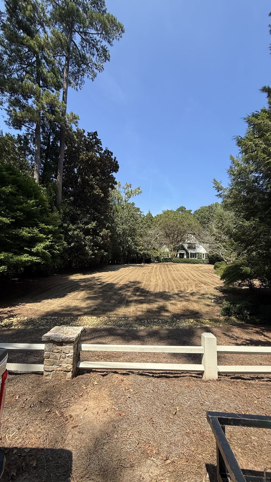 Before: lawn right after core aeration and fescue seeding