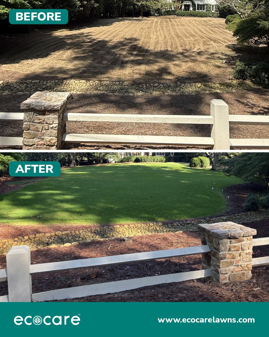 Before and after: a bare lawn and the same lawn green after overseeding