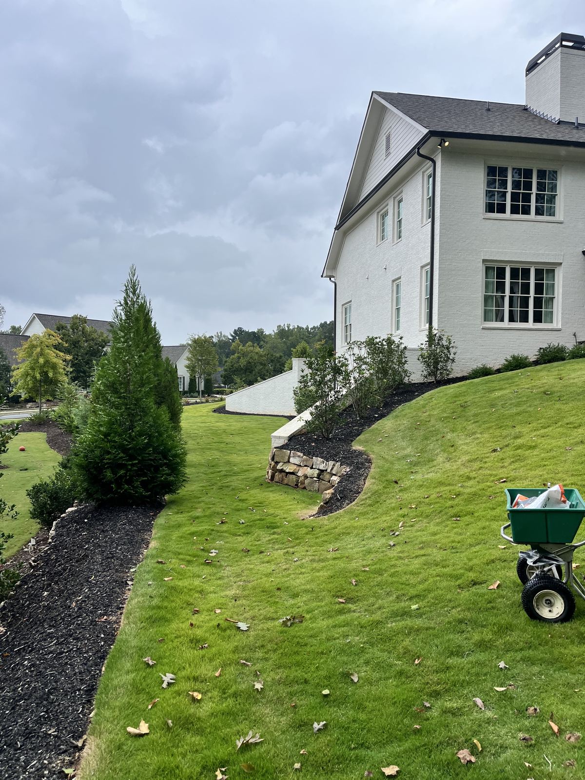 Fertilizer spreader on a sloped lawn beside a mulched bed
