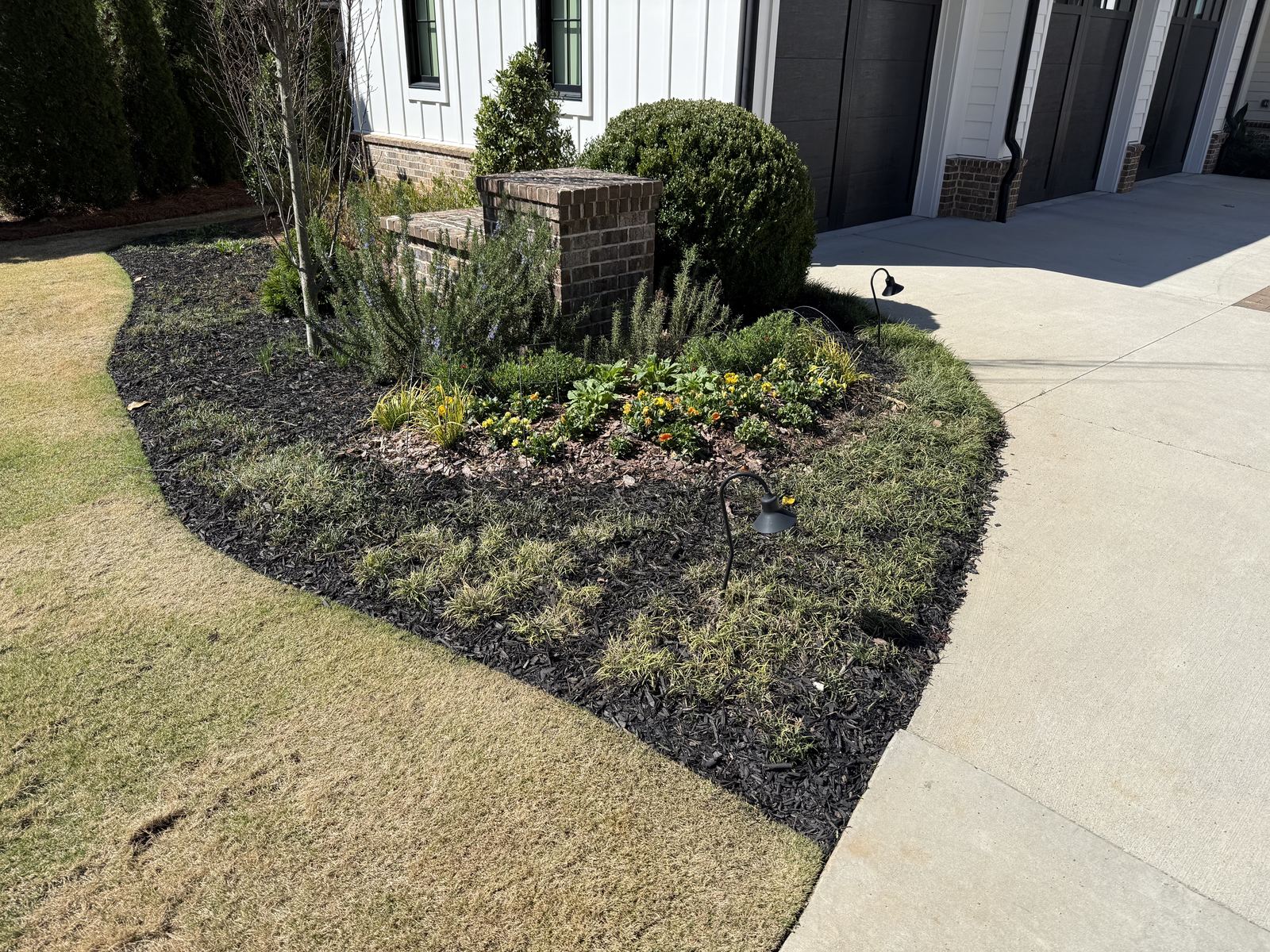 Healthy shrubs in a mulched bed beside a driveway